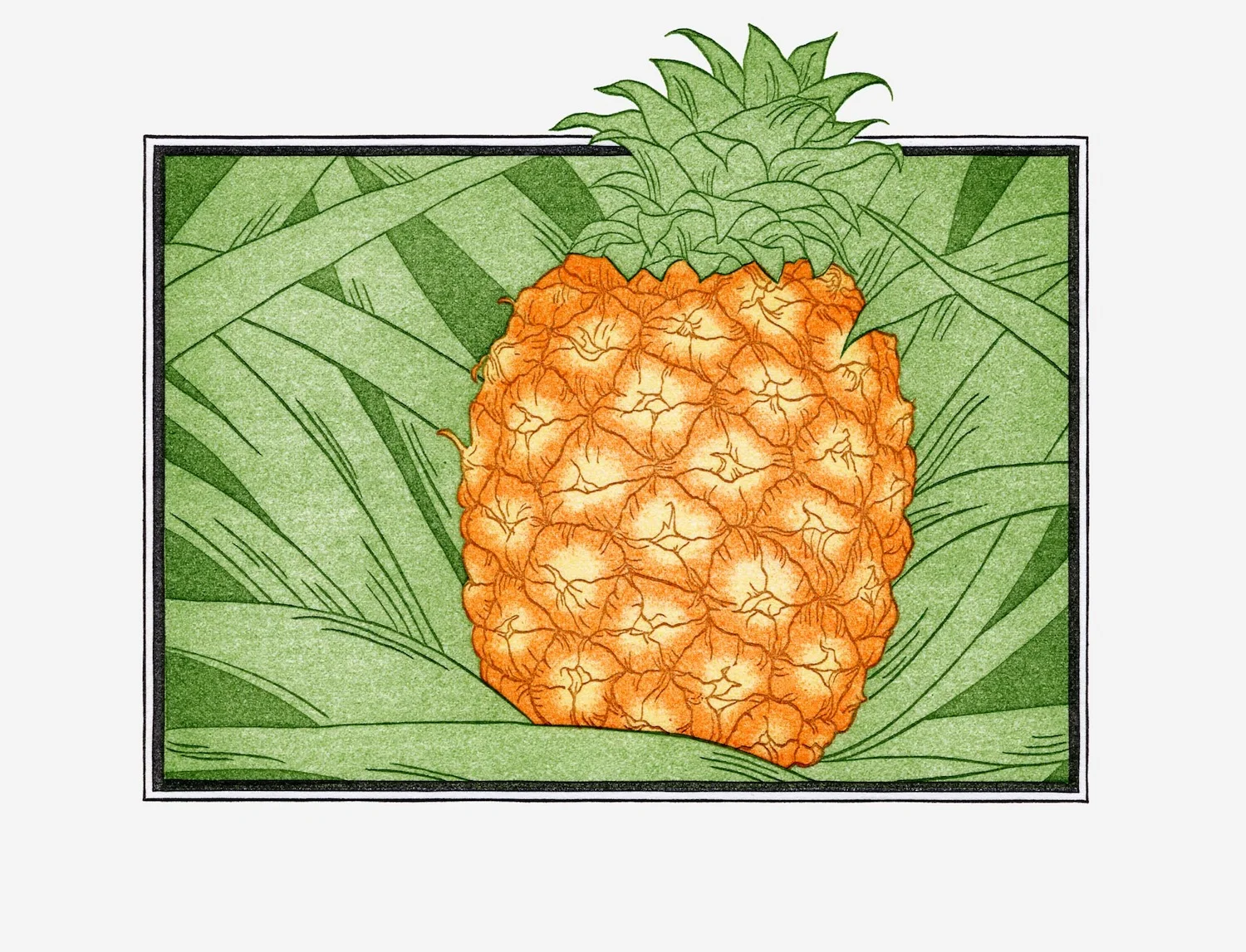 Fruit Prints — Patricia Curtan